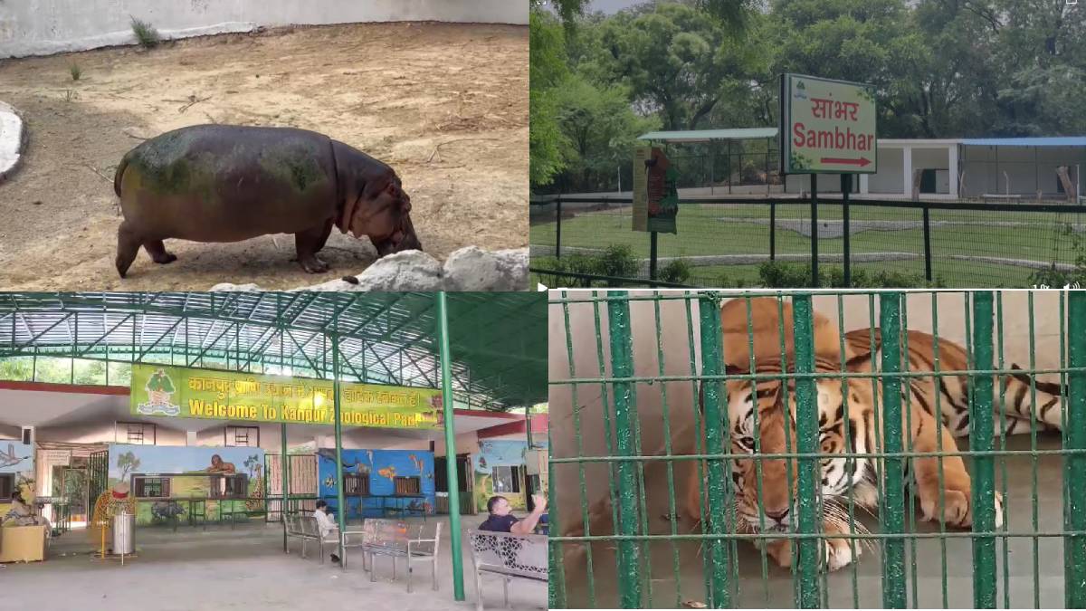 कानपुर चिड़ियाघर की ऑनलाइन टिकट बुकिंग बंद, अब काउंटर से ही मिलेगा प्रवेश